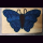 KOKOSmatte SCHMETTERLING BLAU  XL in wei&szlig;er Matte