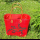 BAST-Tasche S MADAGASKAR