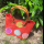 BAST-Tasche S MADAGASKAR