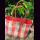 BAST-Tasche S MADAGASKAR